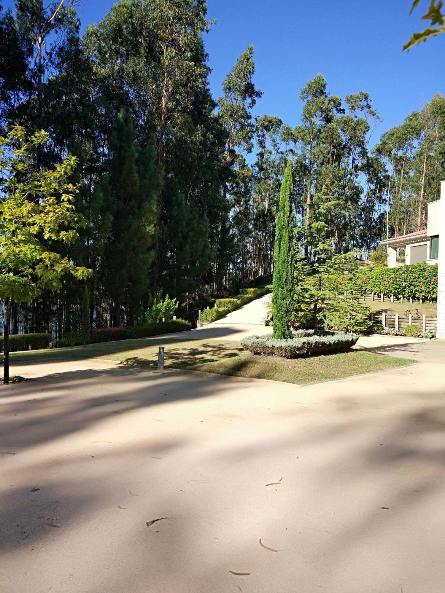 Quinta Da Martinela Ferreira Do Zezere Villa Екстериор снимка