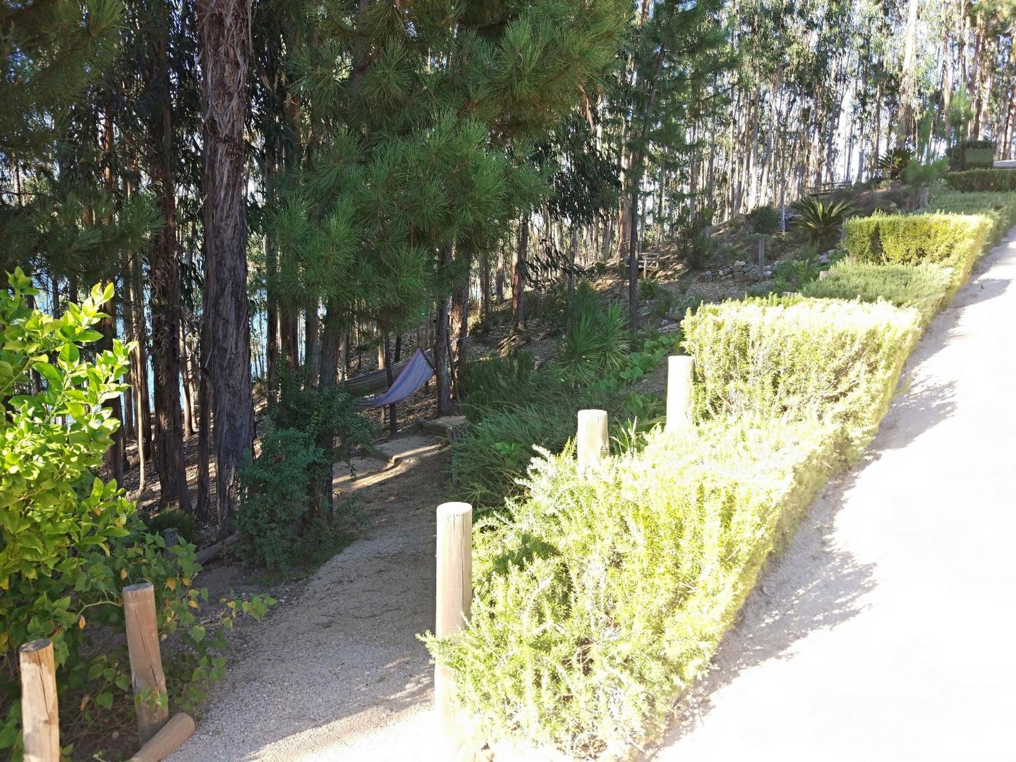 Quinta Da Martinela Ferreira Do Zezere Villa Екстериор снимка