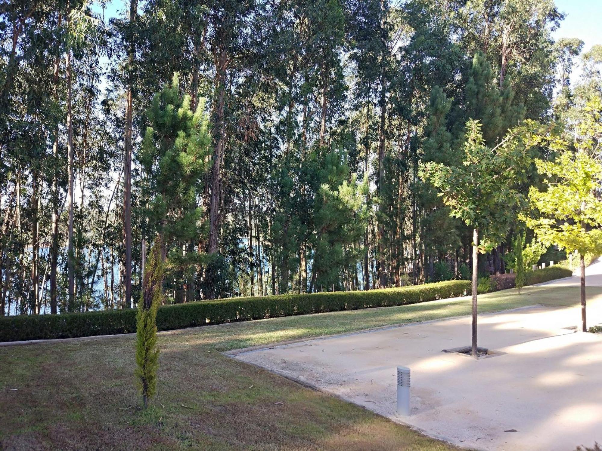 Quinta Da Martinela Ferreira Do Zezere Villa Екстериор снимка