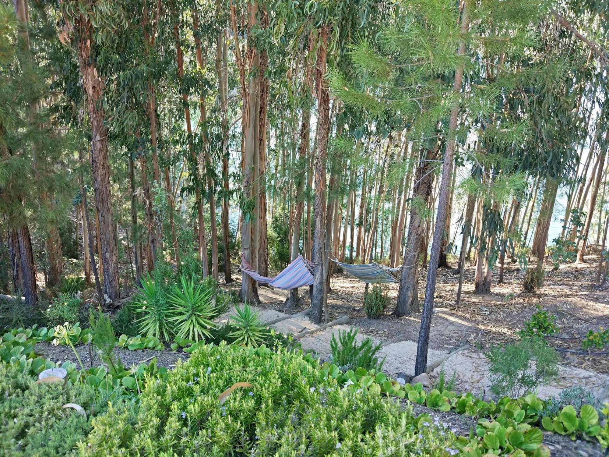 Quinta Da Martinela Ferreira Do Zezere Villa Екстериор снимка